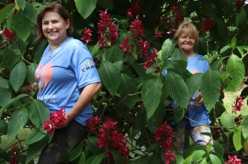 Foto - PASSEIO DA MELHOR IDADE