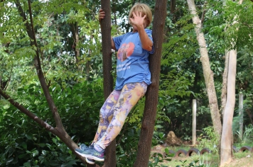 Foto - PASSEIO DA MELHOR IDADE