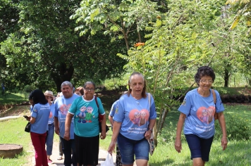 Foto - PASSEIO DA MELHOR IDADE