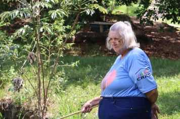 Foto - PASSEIO DA MELHOR IDADE