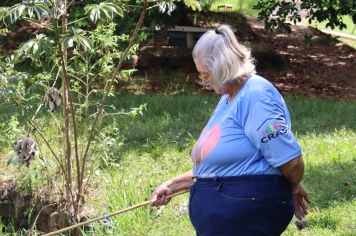 Foto - PASSEIO DA MELHOR IDADE