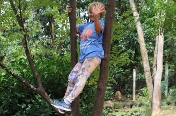 Foto - PASSEIO DA MELHOR IDADE