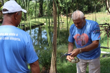 Foto - PASSEIO DA MELHOR IDADE