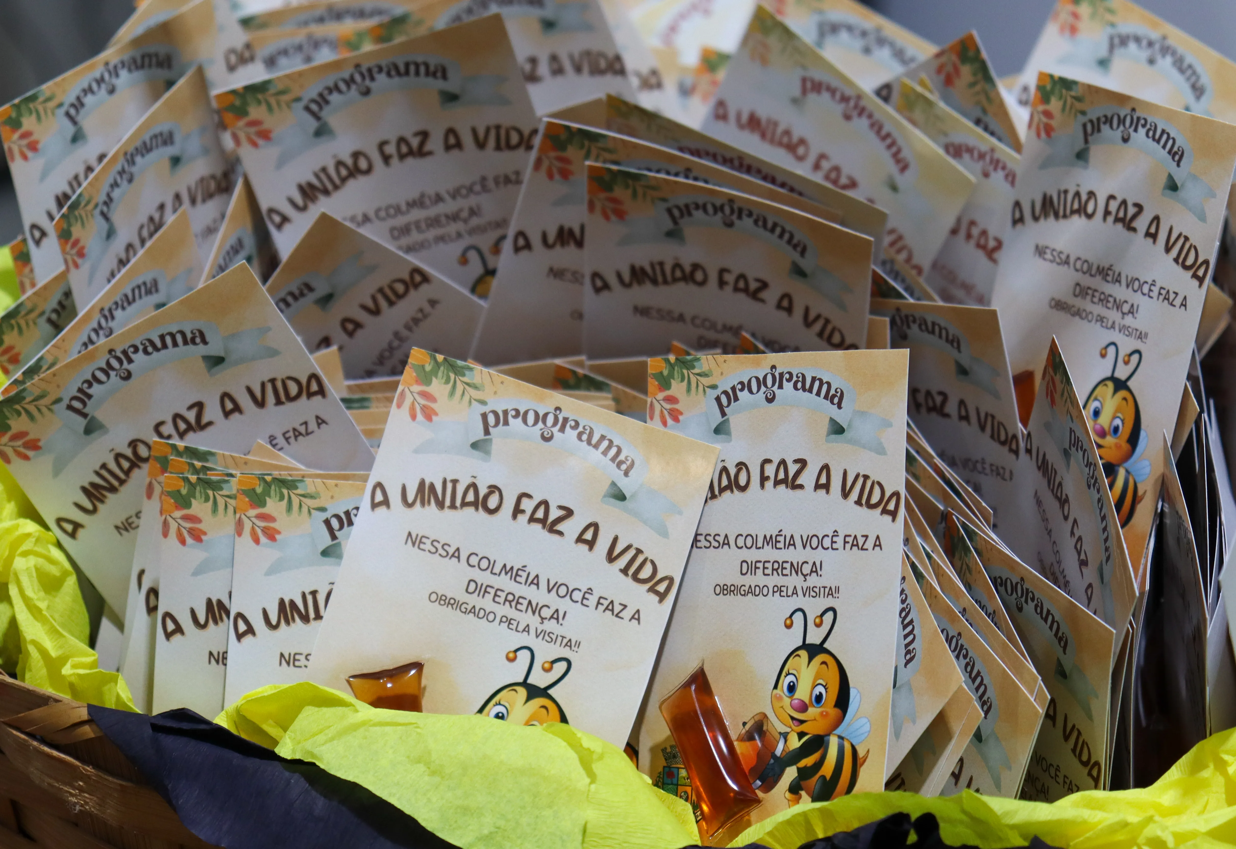 União Faz a Vida: Educação Transformadora em Ação